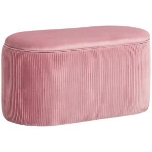 HOMCOM Pouf Panca Contenitore in Velluto Stile Moderno, Pan…