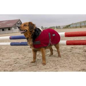 Diego & Louna Teddy Nylon Dog Jacket Arancione 46 cm