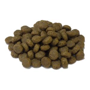 Arquivet Adult White Fish And Tuna Cat Food Marrone,Oro 350…