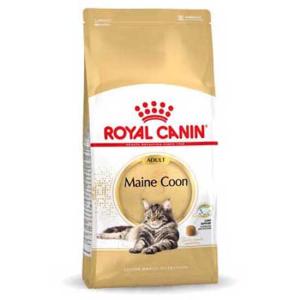 Royal Canin Maine Coon Adult 10kg Cat Food Multicolor 10kg