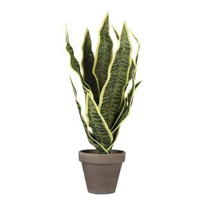 Mica Decorations Pianta Artificiale Sansevieria 30 Cm