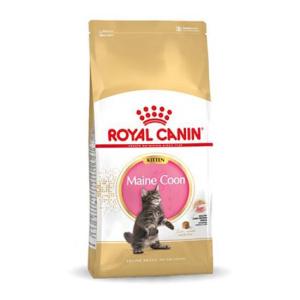 Royal Canin Maine Coon Kitten 10kg Cat Food Oro 10kg