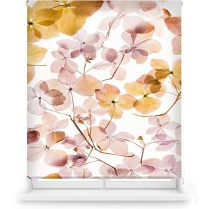 Blindecor Tenda A Rullo Amazon Tstenda Digitale Traslucida…