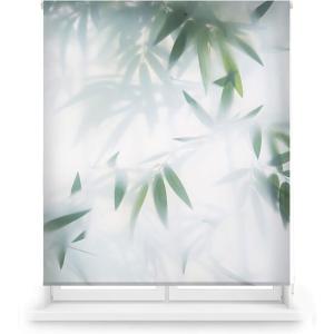 Blindecor Tenda A Rullo Amazon Tstenda Digitale Traslucida…