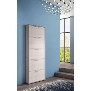 Dmora Scarpiera Moderna Con 5 100% Made In Italy. Porte. 10…