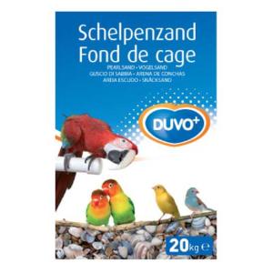 Duvo  Shells Food Birds Trasparente