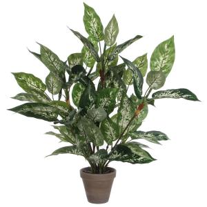 Mica Decorations Pianta Artificiale Dieffenbachia Pvc