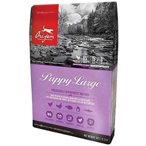 Orijen Cibo Per Cani Grandi Puppy 6kg