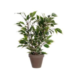 Mica Decorations Pianta Artificiale Marmorizzata Ficus Nats…