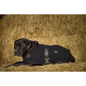 Diego & Louna Teddy Polar Dog Jacket Verde 26 cm