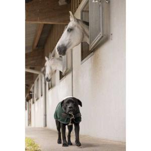 Diego & Louna Teddy Nylon Dog Jacket Oro 31 cm