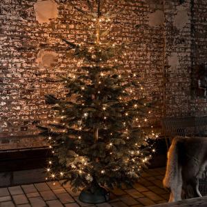 Konstsmide Christmas Ghirlanda luminosa LED a mantello con…