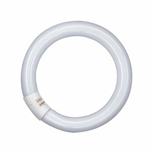 OSRAM G10q 32W 827 Lumilux T9C circolare fluorescente