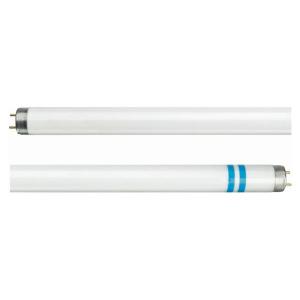 Philips G13 T8 tubo fluorescente con antischeggia