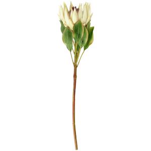 Protea artificiale Maaret VEGA