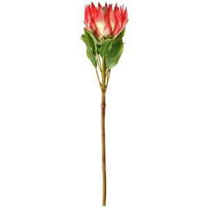 Protea artificiale Maaret VEGA